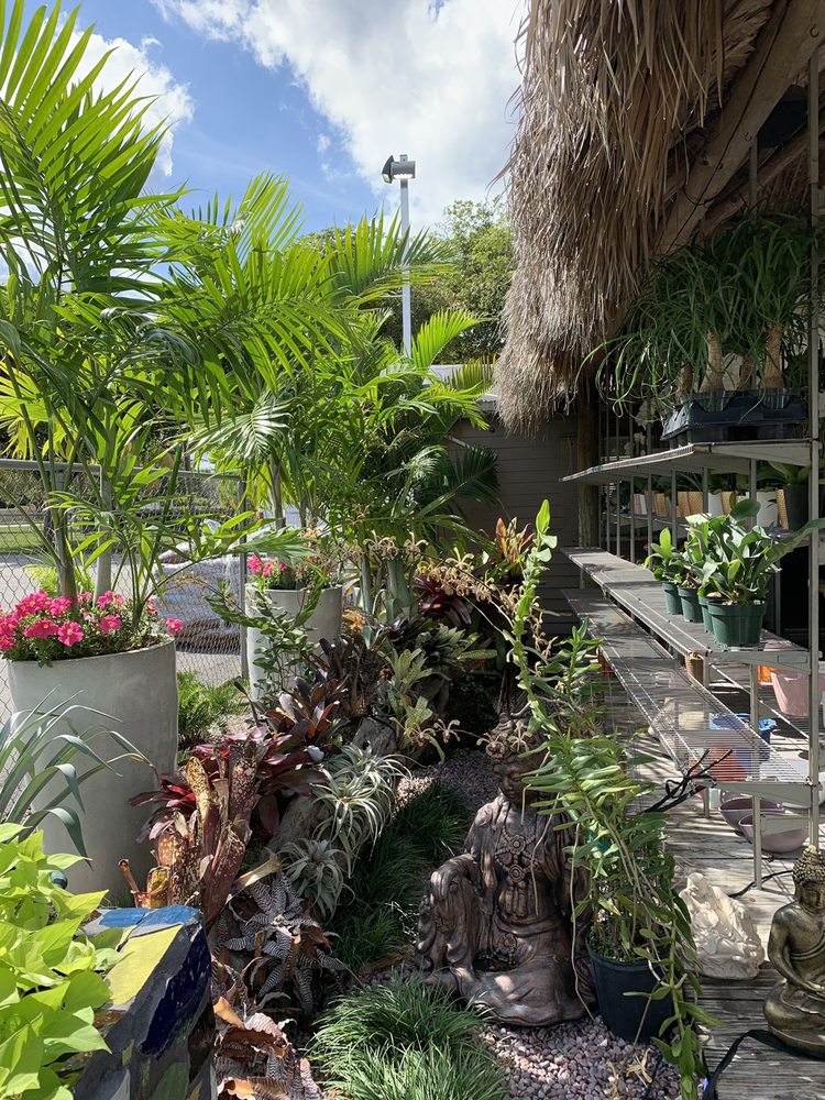 Tropical home garden with Buddha statues, palms, and varied foliage in Miami.