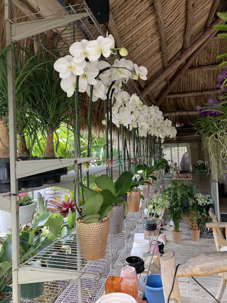 Orchids and tropical plants for sale in a Kendall plant nursery